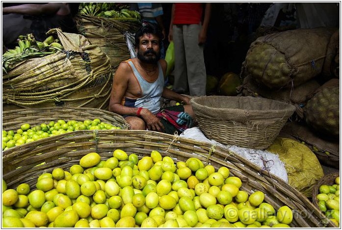 Indie / India