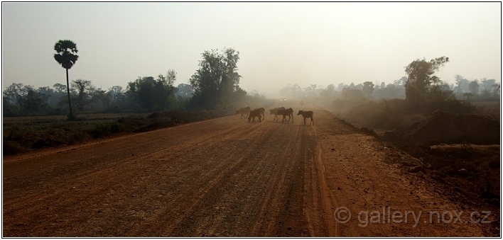 Kambodža / Cambodia