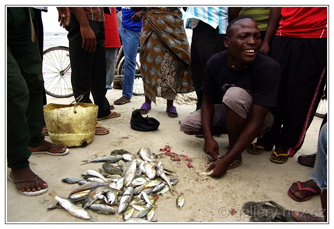 Tanzánie / Tanzania